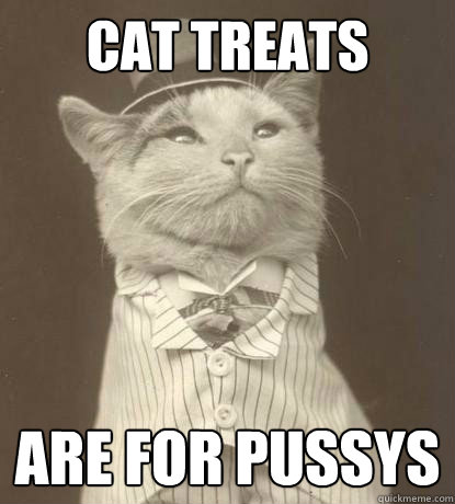 cat treats are for pussys  Aristocat