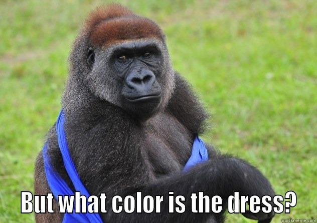   BUT WHAT COLOR IS THE DRESS? Misc