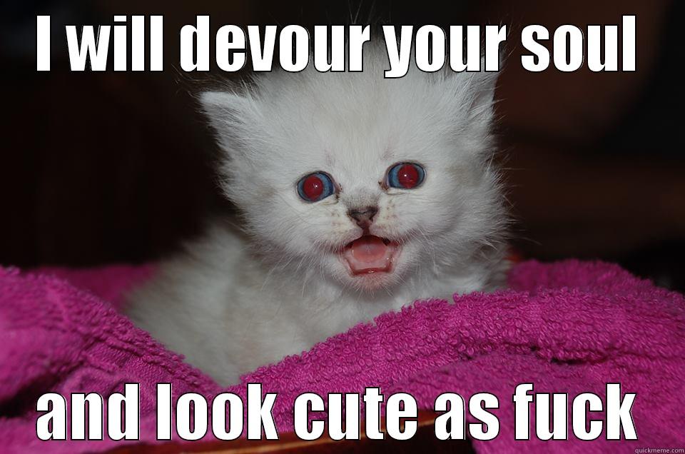 I WILL DEVOUR YOUR SOUL AND LOOK CUTE AS FUCK Misc