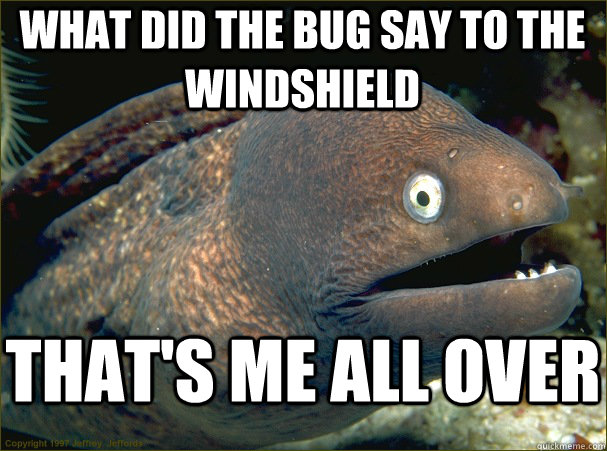 What did the bug say to the windshield That's me all over - What did the bug say to the windshield That's me all over  Bad Joke Eel