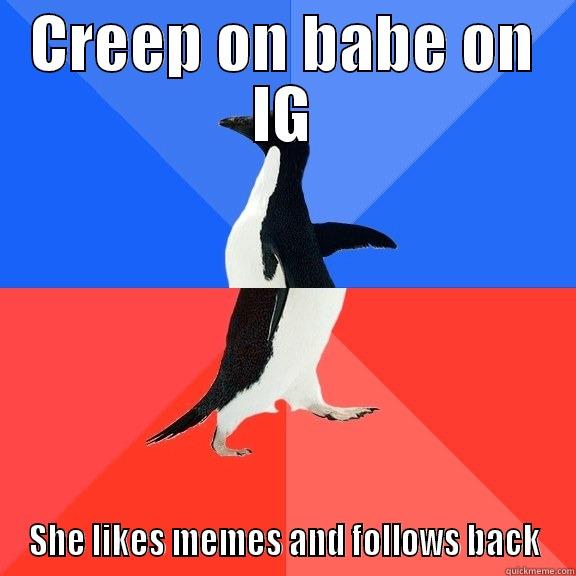 CREEP ON BABE ON IG SHE LIKES MEMES AND FOLLOWS BACK Socially Awkward Awesome Penguin