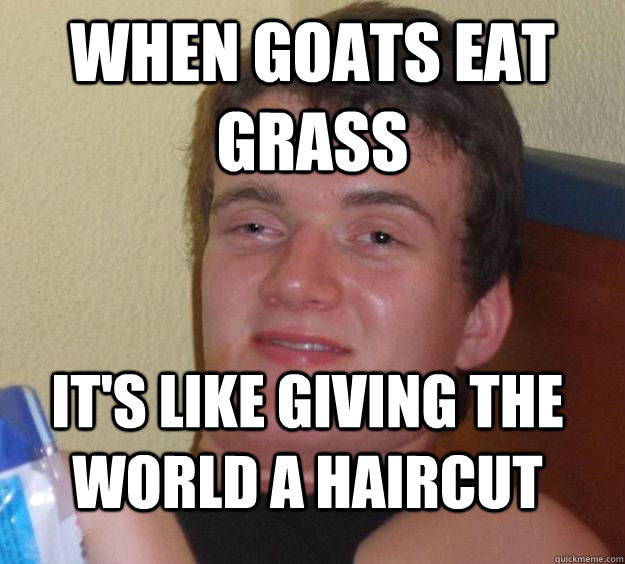 when goats eat grass it's like giving the world a haircut  10 Guy