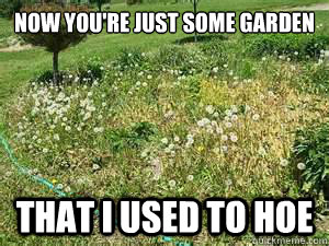 now you're just some garden that i used to hoe - now you're just some garden that i used to hoe  Gotye Garden