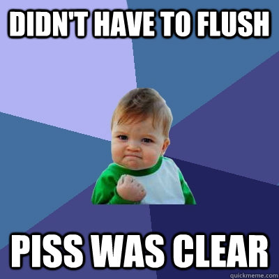 Didn't have to flush Piss was clear  Success Kid