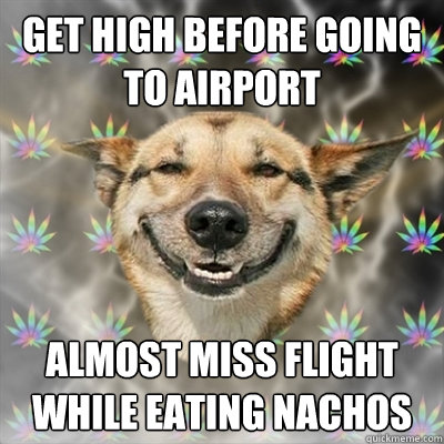 Get high before going to airport Almost miss flight while eating nachos  Stoner Dog