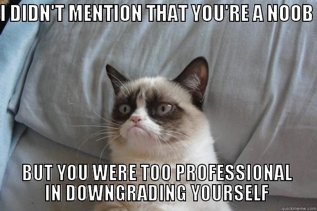 I DIDN'T MENTION THAT YOU'RE A NOOB  BUT YOU WERE TOO PROFESSIONAL IN DOWNGRADING YOURSELF Grumpy Cat