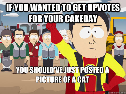 if you wanted to get upvotes for your cakeday You should've just posted a picture of a cat  Captain Hindsight