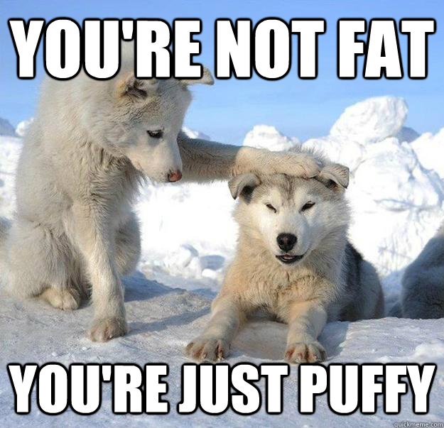 you're not fat
 you're just puffy  Caring Husky