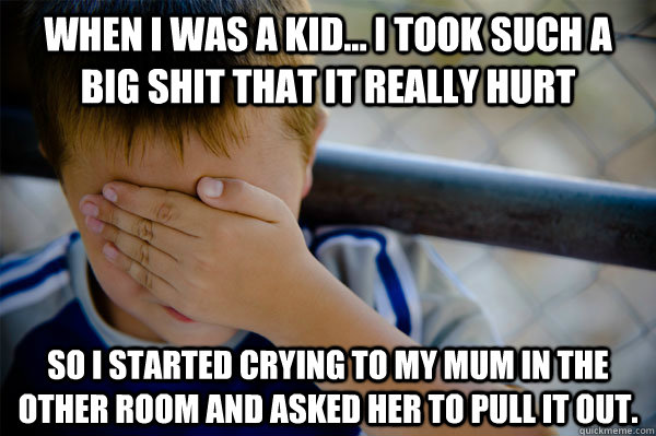 When I was a kid... I took such a big shit that it really hurt So I started crying to my mum in the other room and asked her to pull it out.  Confession kid