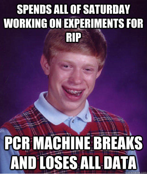 Spends all of saturday working on experiments for RIP PCR machine breaks and loses all data  - Spends all of saturday working on experiments for RIP PCR machine breaks and loses all data   Bad Luck Brian