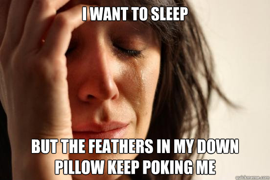 i want to sleep but the feathers in my down pillow keep poking me  First World Problems