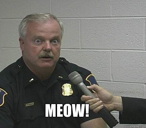Meow!  Overly Caffeinated Cop
