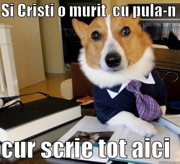 Mori fgm - SI CRISTI O MURIT  CU PULA-N   CUR SCRIE TOT AICI  Lawyer Dog