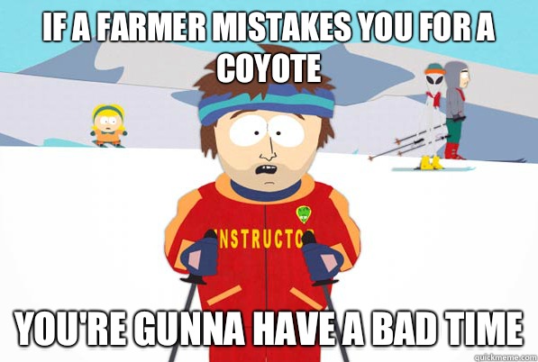 If a farmer mistakes you for a coyote You're gunna have a bad time  South Park Youre Gonna Have a Bad Time