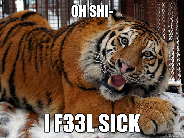 Oh shi- i f33l sick  Fascinated Tiger