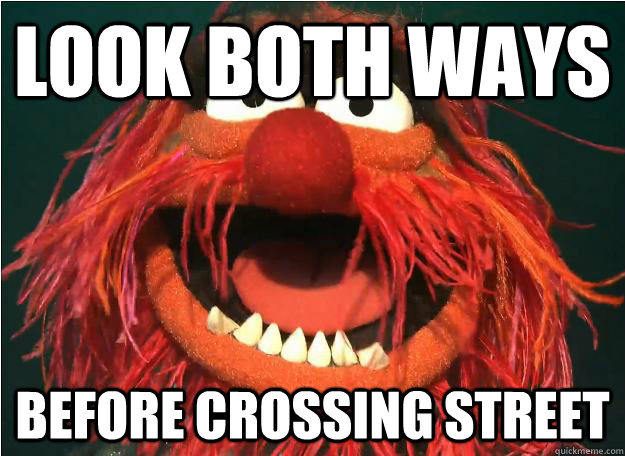 Look both ways before crossing street  Advice Animal