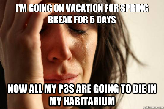 I'm going on vacation for spring break for 5 days Now all my P3s are going to die in my habitarium  First World Problems