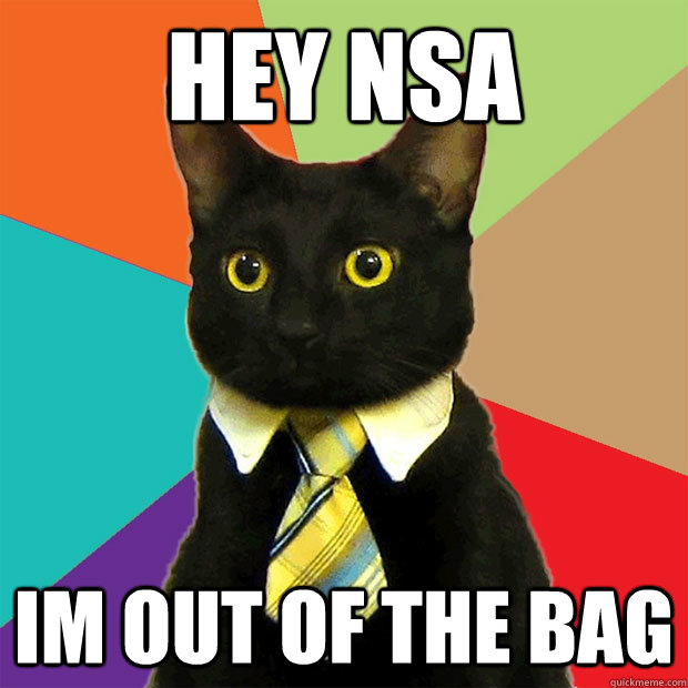 hey nsa Im Out of the bag  Business Cat