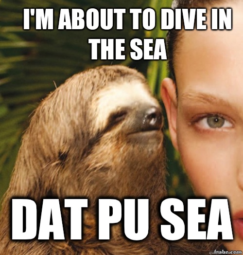 I'm about to dive in the sea Dat pu sea  rape sloth