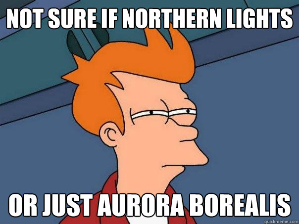 Not sure if Northern Lights Or just aurora borealis  Futurama Fry