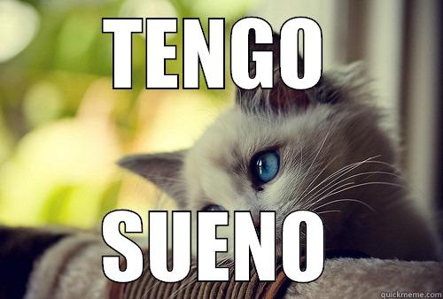 Cat on his day off - TENGO SUENO First World Problems Cat