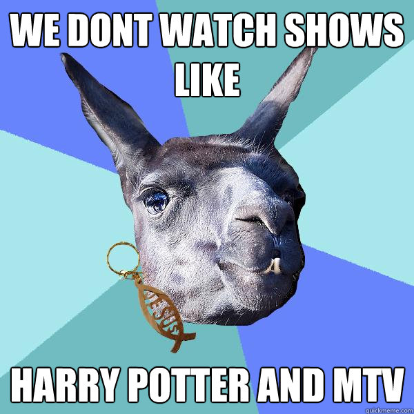 we dont watch shows like harry potter and mtv  