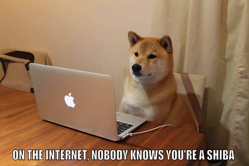 On the internet, nobody knows you're a Shiba. -  ON THE INTERNET, NOBODY KNOWS YOU'RE A SHIBA Misc