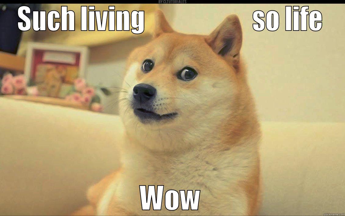 living doge - SUCH LIVING                     SO LIFE WOW Misc