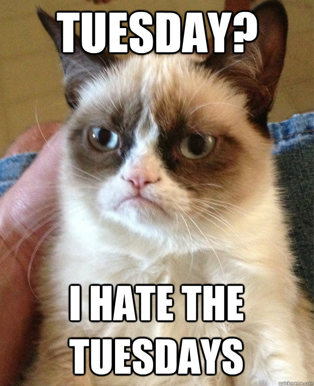 Tuesday? I hate the tuesdays  Grumpy Cat