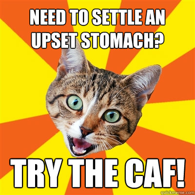 need to settle an upset stomach? try the caf!  Bad Advice Cat