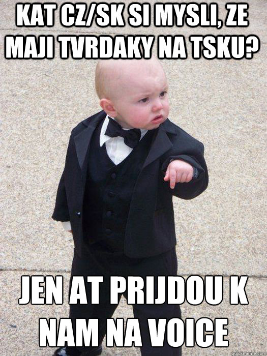 KAT CZ/SK si mysli, ze maji tvrdaky na TSku? Jen at prijdou k nam na voice   Baby Godfather