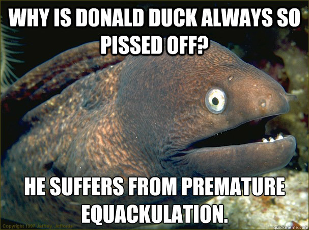 Why is Donald duck always so pissed off? He suffers from premature equackulation.  Bad Joke Eel