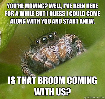 You're moving? Well, I've been here for a while but I guess I could come along with you and start anew. is that broom coming with us? - You're moving? Well, I've been here for a while but I guess I could come along with you and start anew. is that broom coming with us?  Misunderstood Spider