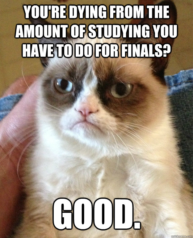 You're dying from the amount of studying you have to do for finals? good.   