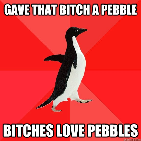 Gave that bitch a pebble bitches love pebbles - Gave that bitch a pebble bitches love pebbles  Socially Awesome Penguin
