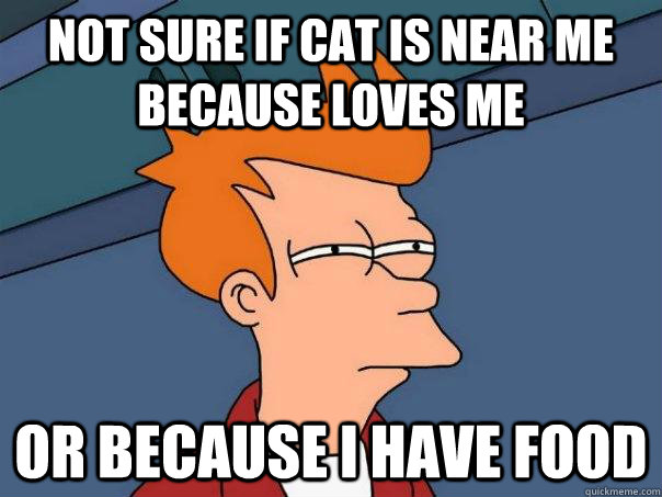 Not sure if cat is near me because loves me Or because i have food   Futurama Fry