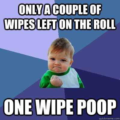Only a couple of wipes left on the roll One wipe poop  Success Kid