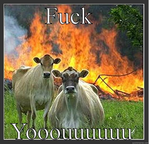 Funny cat  - FUCK  YOOOUUUUUU Evil cows