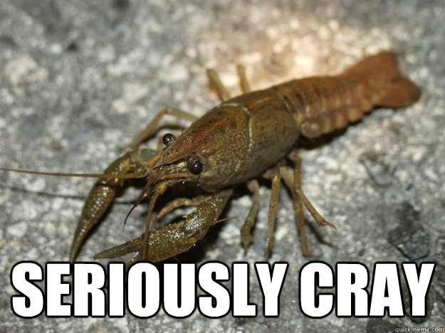  Seriously cray  that fish cray