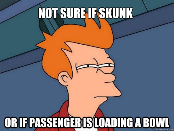 NOT SURE IF SKUNK OR IF PASSENGER IS LOADING A BOWL  Futurama Fry