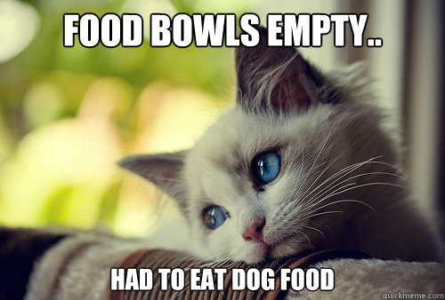 food bowls empty.. had to eat dog food  First World Problems Cat