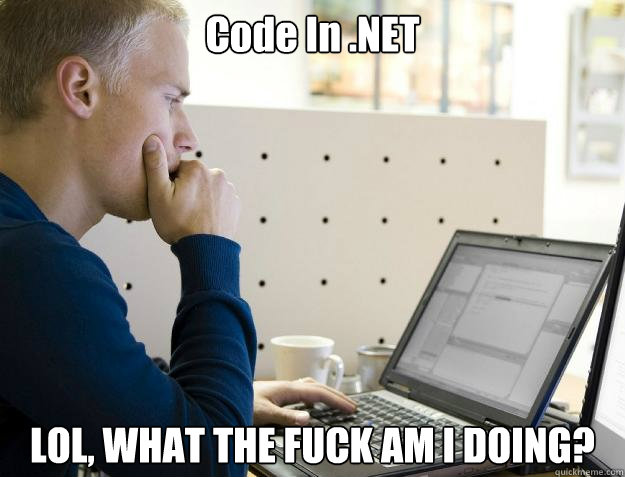 Code In .NET LOL, WHAT THE FUCK AM I DOING?  Programmer