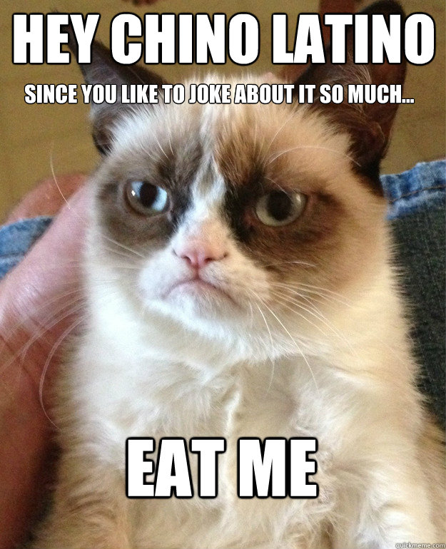 Hey Chino Latino EAT ME Since you like to joke about it so much...  Grumpy Cat