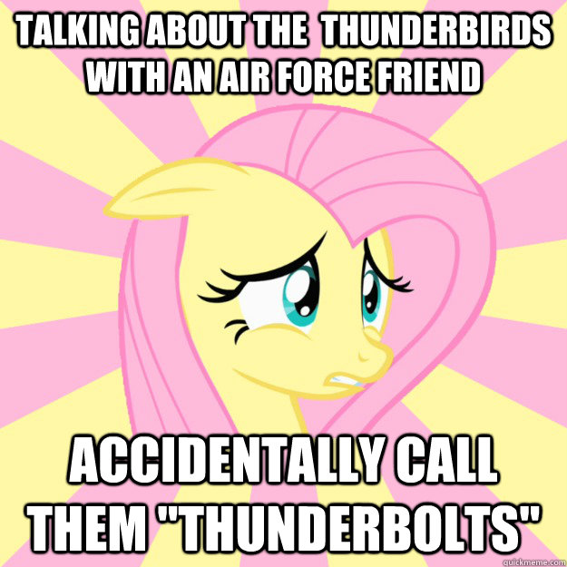 talking about the  thunderbirds with an air force friend accidentally call them 