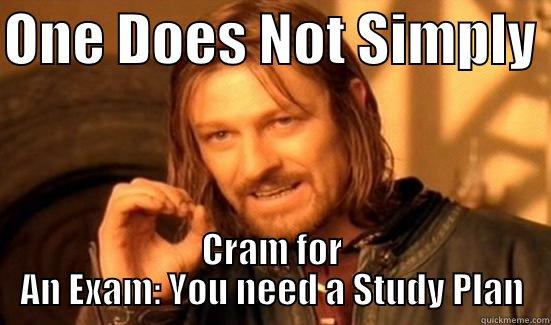ONE DOES NOT SIMPLY  CRAM FOR AN EXAM: YOU NEED A STUDY PLAN Boromir