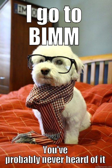 What college do you go to? - I GO TO BIMM YOU'VE PROBABLY NEVER HEARD OF IT Hipster Dog