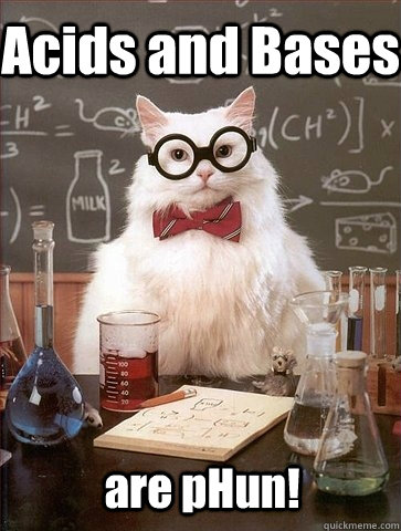 Acids and Bases are pHun! - Acids and Bases are pHun!  Chemistry Cat