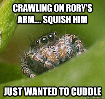 crawling on Rory's arm.... Squish Him just wanted to cuddle  Misunderstood Spider