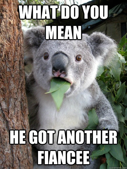 WHAT do you mean he got another fiancee  Surprised Koala