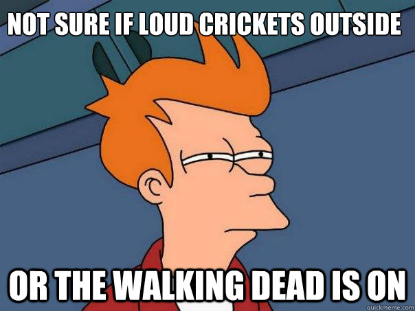 Not sure if loud crickets outside Or the Walking Dead is on  Futurama Fry